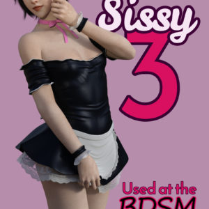 Tricked Sissy 3 - Used at the BDSM Party